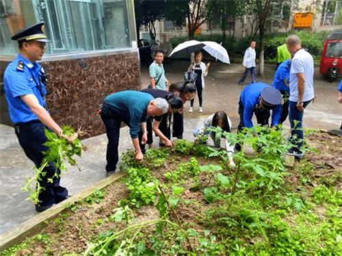 办实事 马路办公 一线解决城市管理难题